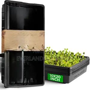 Commercial Hydroponic Growing Trays - No Holes