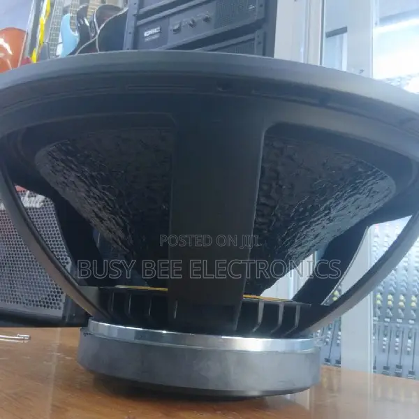 Derwel 18AH186 Professional Loudspeaker