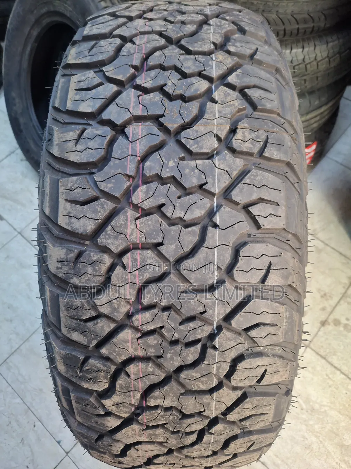 265/55r19 Grenlander a/T Tire