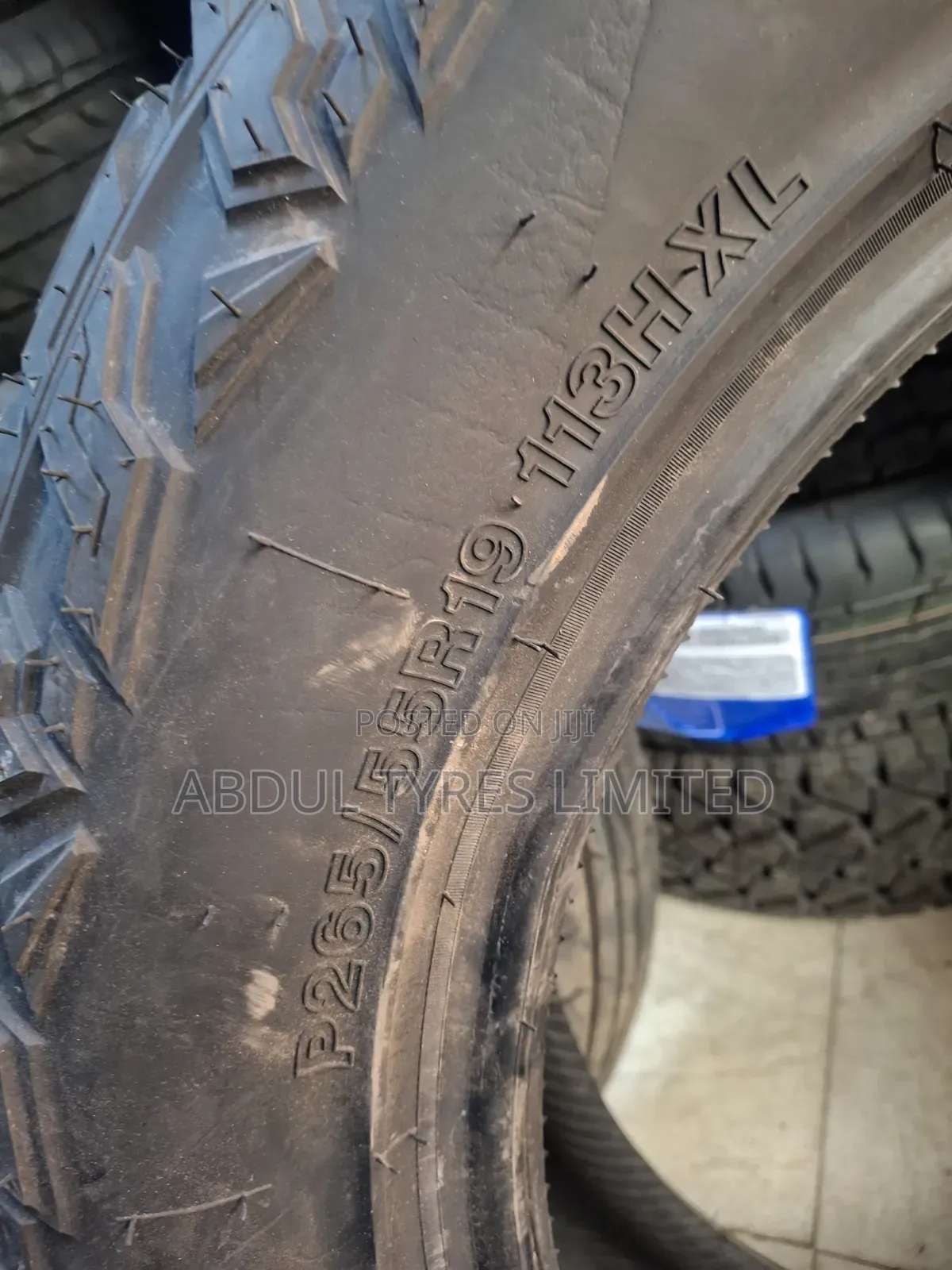 265/55r19 Grenlander a/T Tire