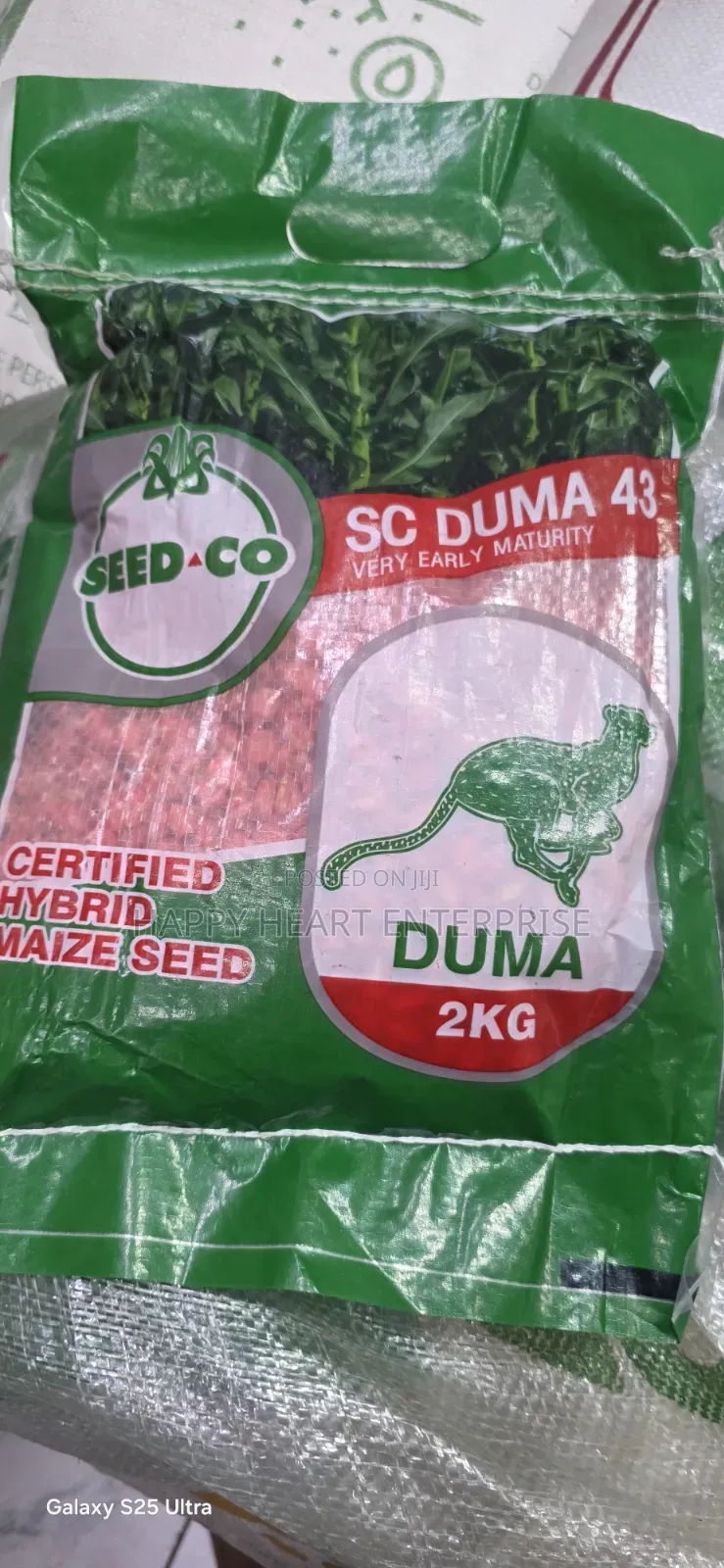 Sc Duma 43 2kg Hybrid Maize Seed