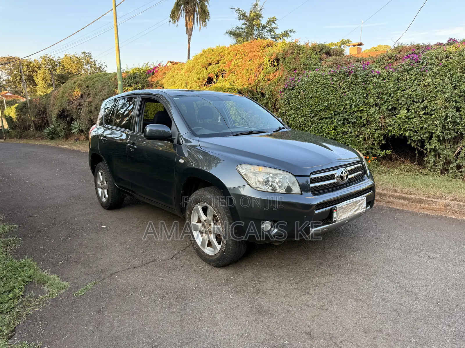 Toyota RAV4 2.0 VVT-i 2008 Gray