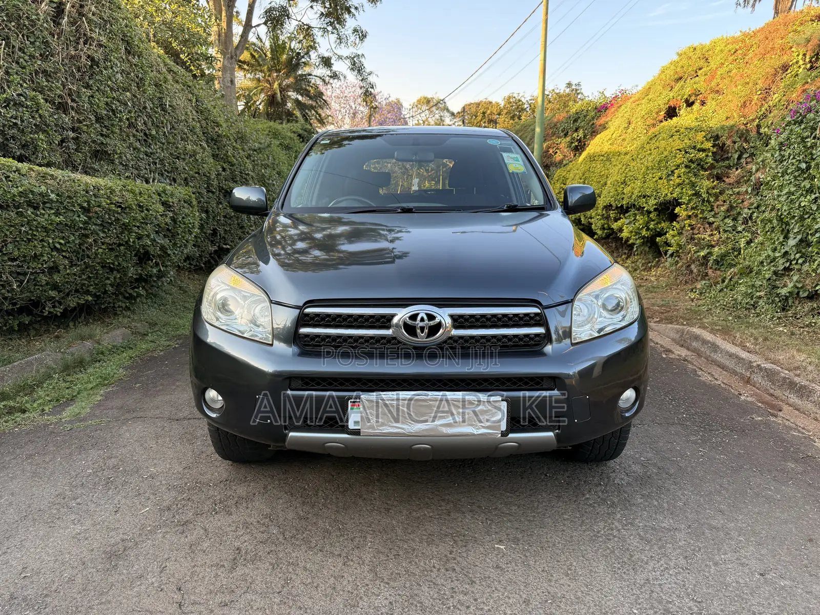 Toyota RAV4 2.0 VVT-i 2008 Gray