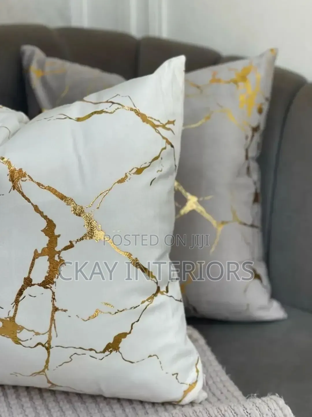 Decorative Throw Pillows for Studios