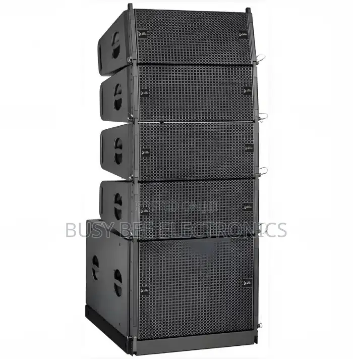 Thunder Sound TS2212 Line Array