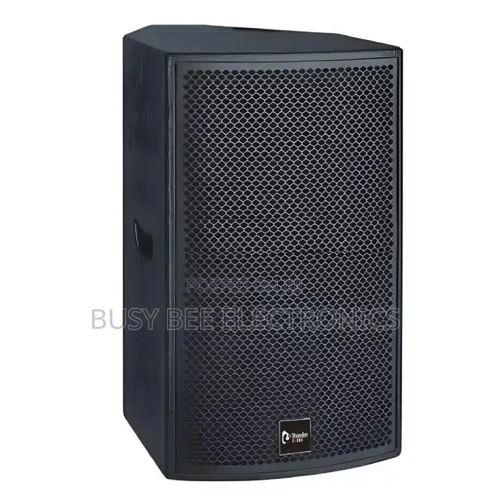 Thunder Sound TH110 Passive Speaker