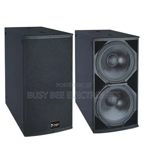 Thunder Sound TS228 18-Inch Subwoofer