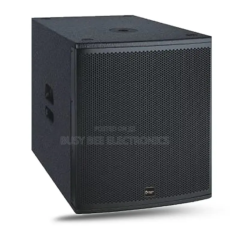 Thunder Sound TH118P Subwoofer