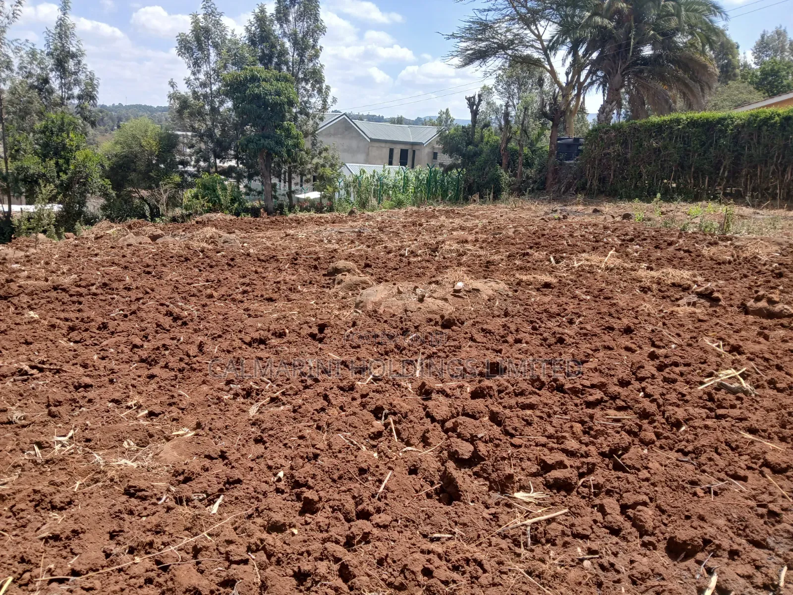 Prime Redsoil Quarter Acre Plot in Merisho, Matasia Karen-View