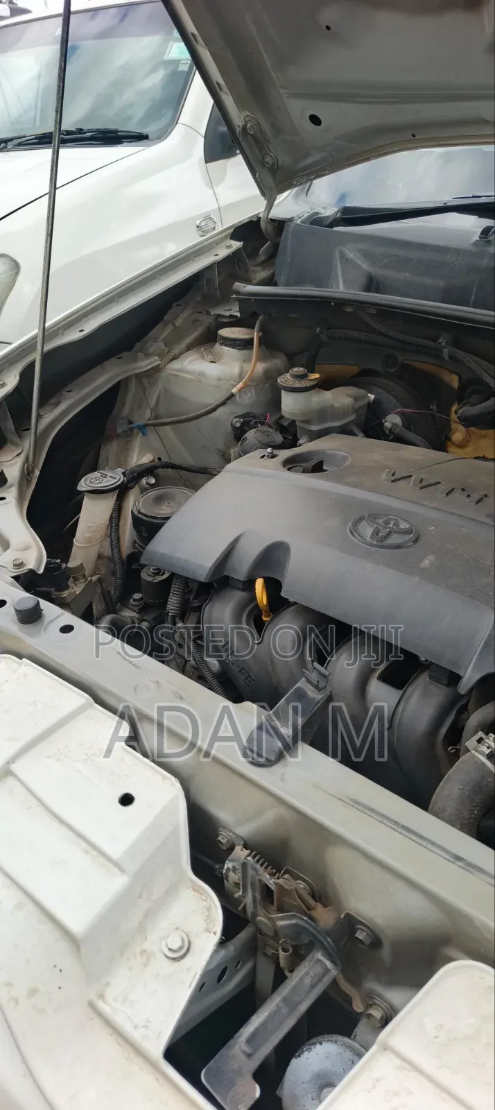 Toyota Probox 2013 White