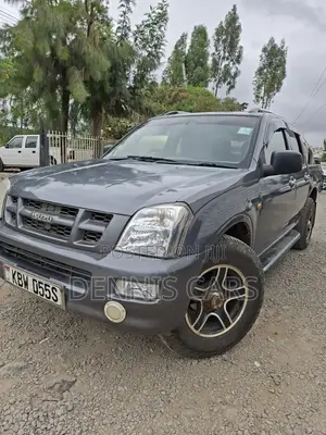 Isuzu D-MAX 2006 Gray