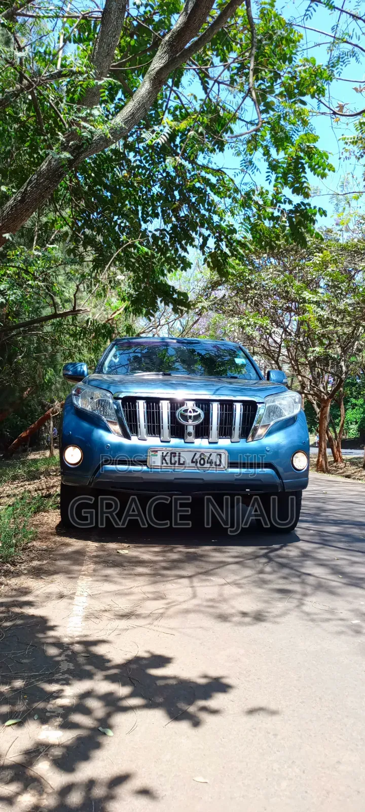 Toyota Land Cruiser Prado 2010 Blue