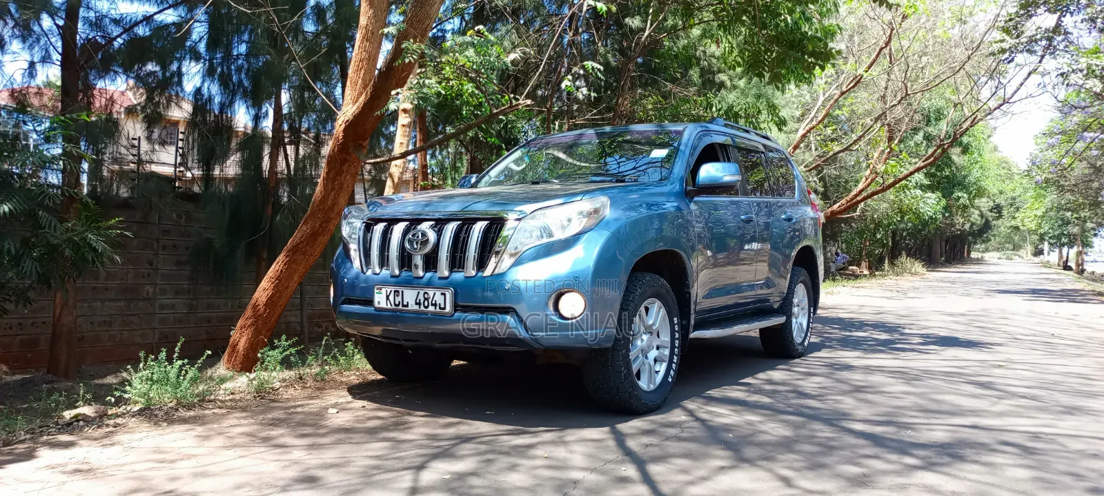 Toyota Land Cruiser Prado 2010 Blue