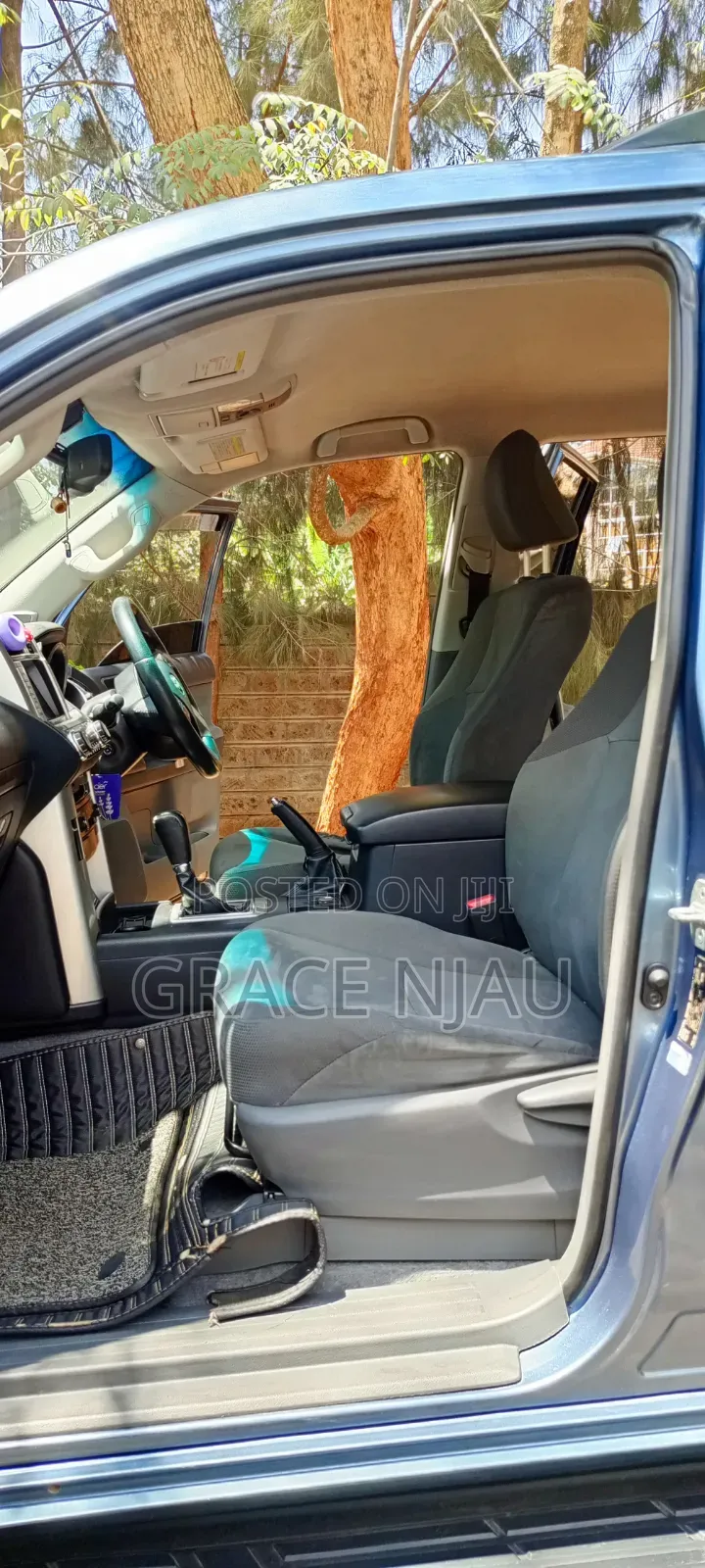 Toyota Land Cruiser Prado 2010 Blue