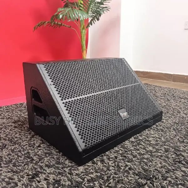 Thunder Sound TS112M 12′′ Passive Stage Monitor