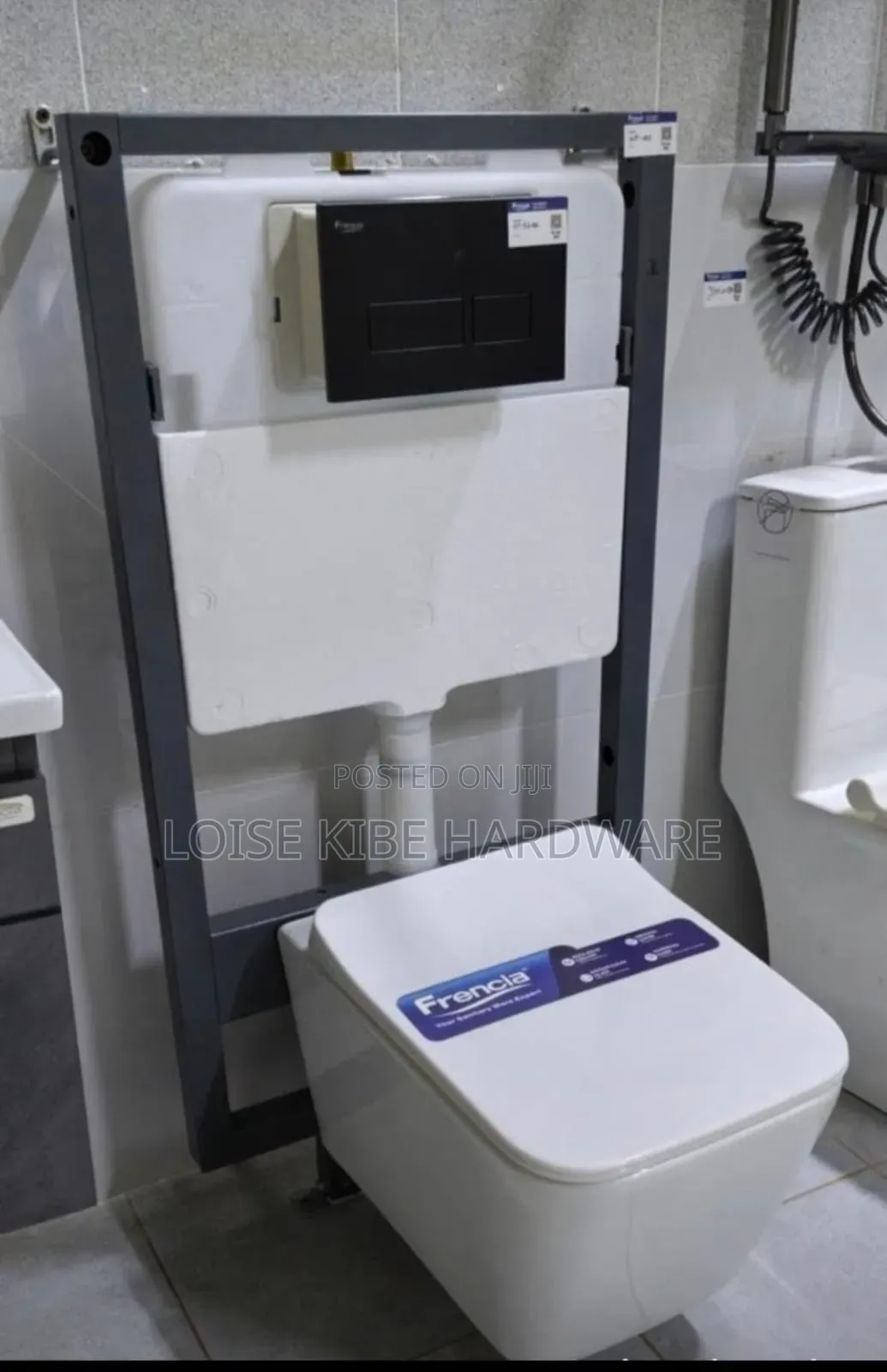 Frencia Wall Hung Toilet and Concealed Cistern Available