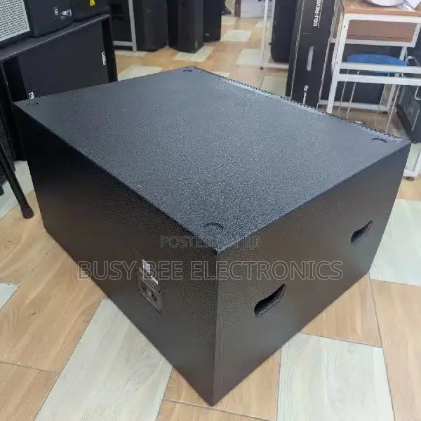 Thunder Sound TS 218 Bass Speaker