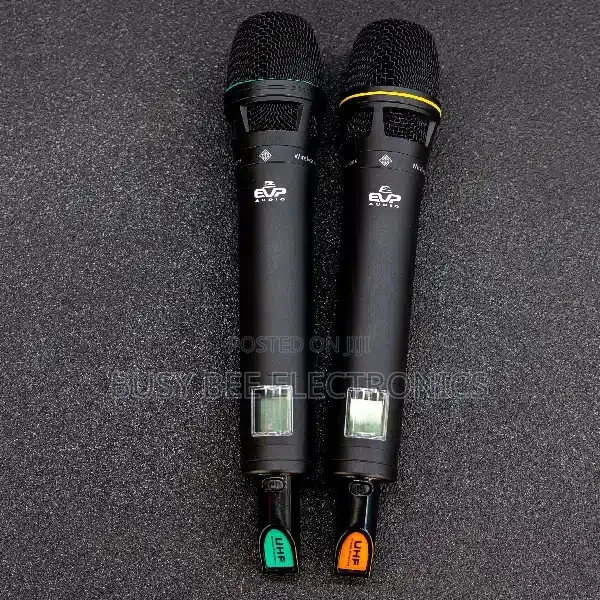 EVP Audio Ewg4 2 Professional Wireless Microphone