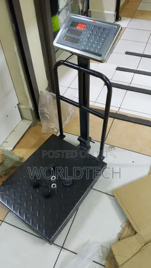 300kg Platform Scale/Quality With Guard Platform Scale