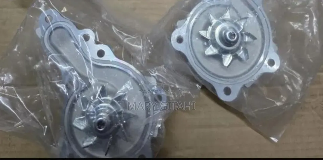 Water Pump for Suzuki Alto Ro6a