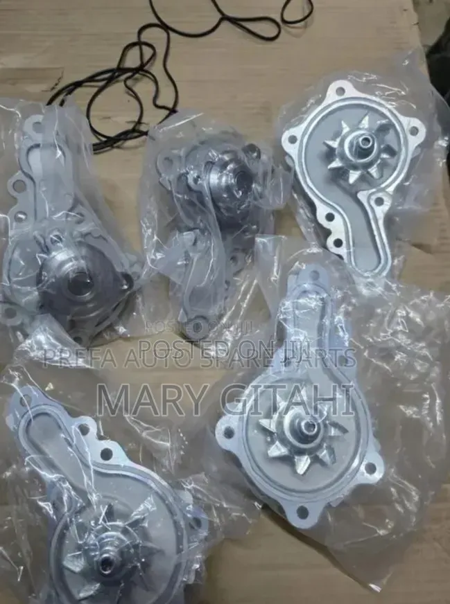Water Pump for Suzuki Alto Ro6a