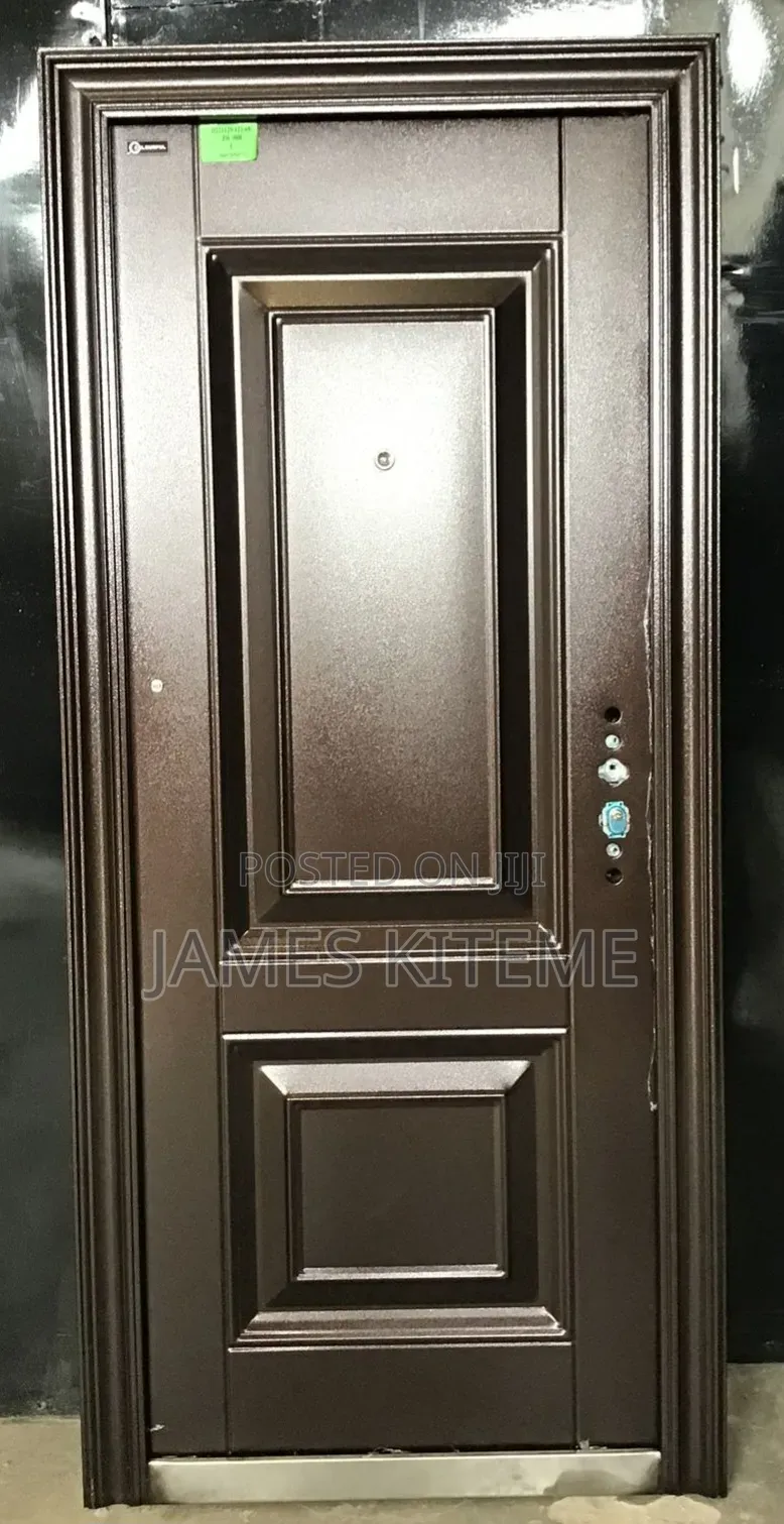 Hidden Hinges Steel Doors Highest Quality