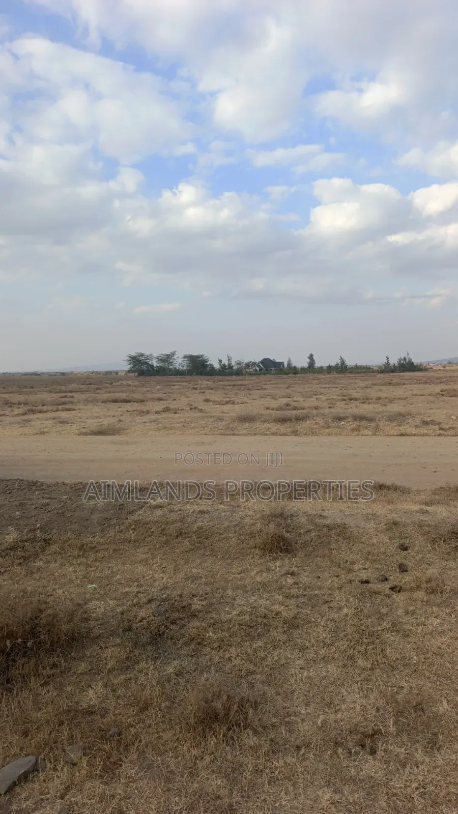 50 by 100 Prime Plots at KCA University Kitengela