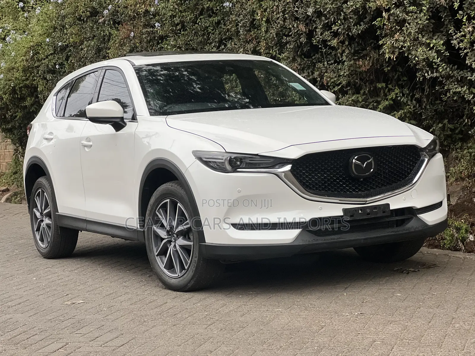 Mazda CX-5 Touring i-ACTIV AWD 2019 White