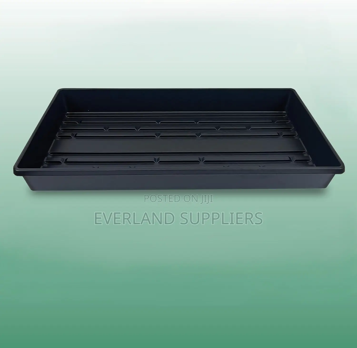 Shallow Microgreens Growing Trays