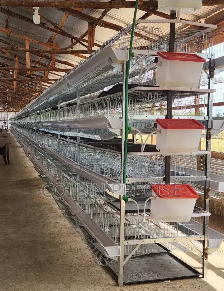 H-Type 128 Birds Chicken Cages (6.5 by 4 by 9 Ft)