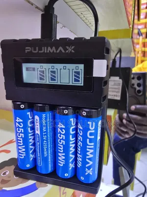 Limited Deal! 4 PUJIMAX AA Batteries With Type-C Digital Charger 4255