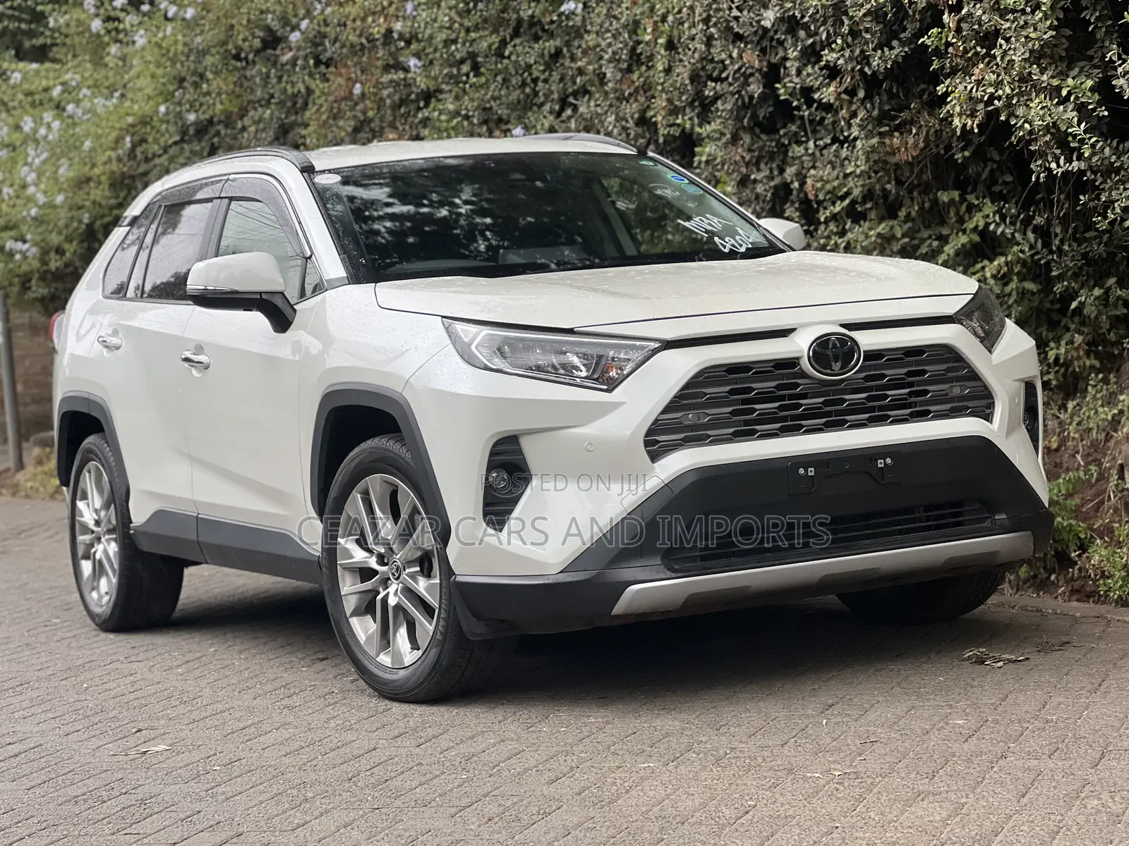 Toyota RAV4 Limited FWD 2019 White