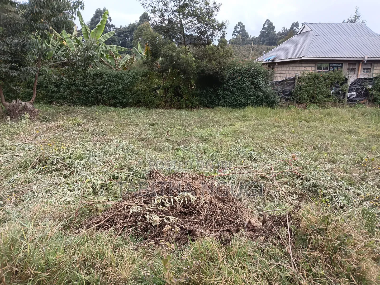 50x100 in Kikuyu-Ondiri
