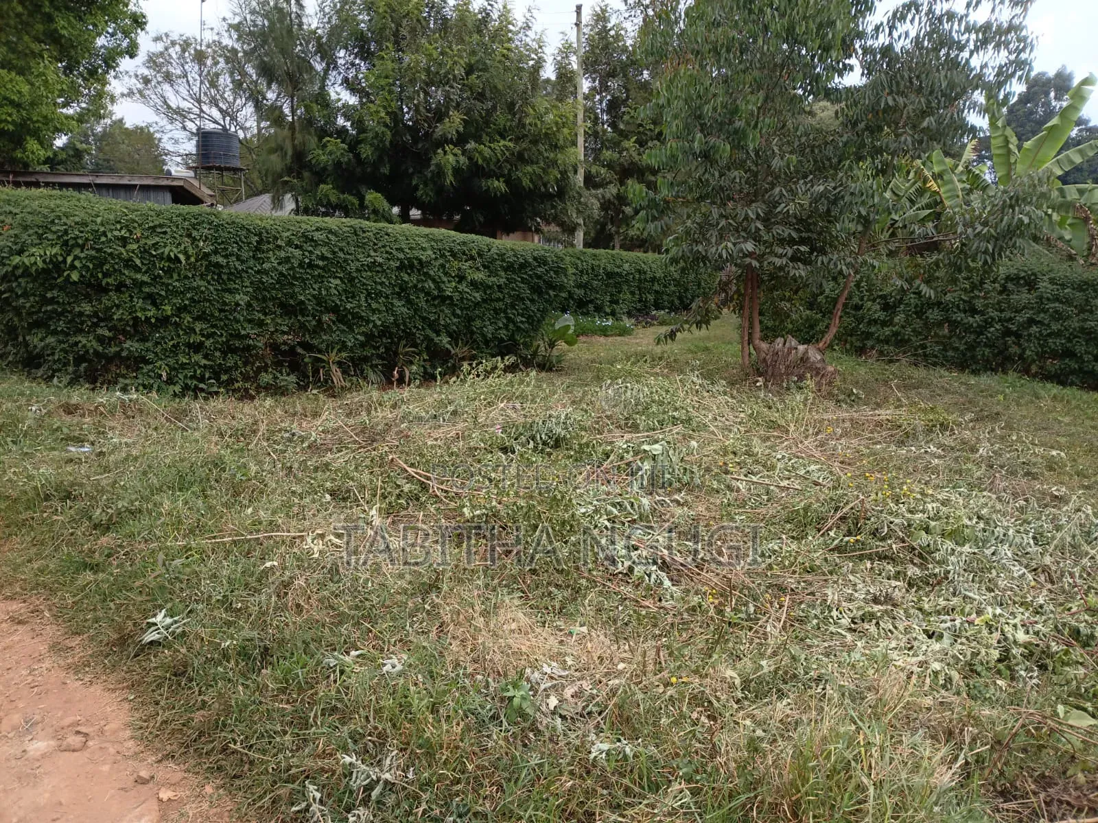 50x100 in Kikuyu-Ondiri