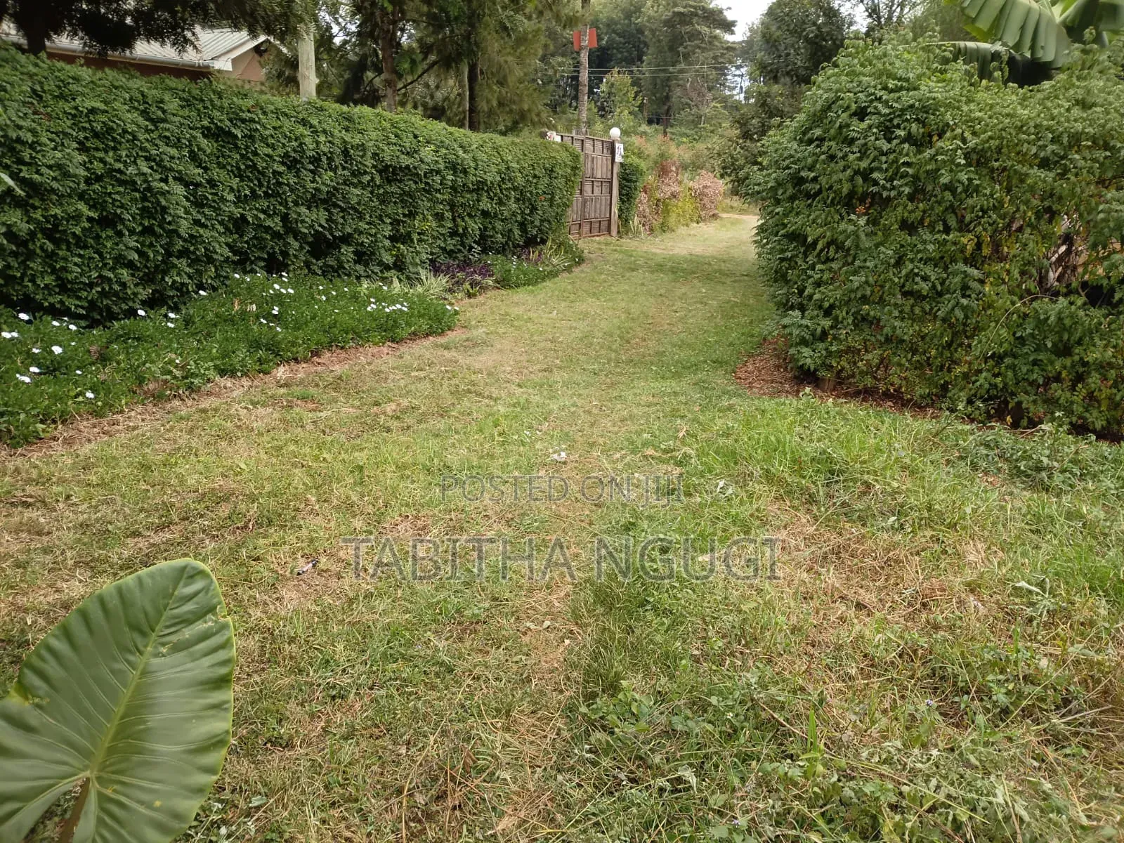 50x100 in Kikuyu-Ondiri