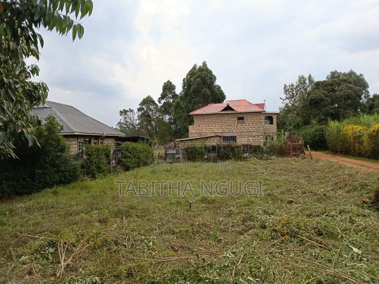 50x100 in Kikuyu-Ondiri