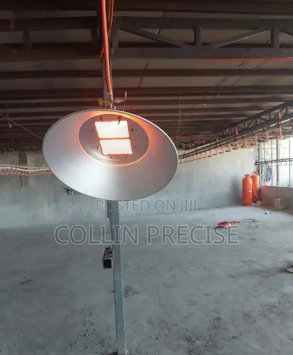 Gas Brooder