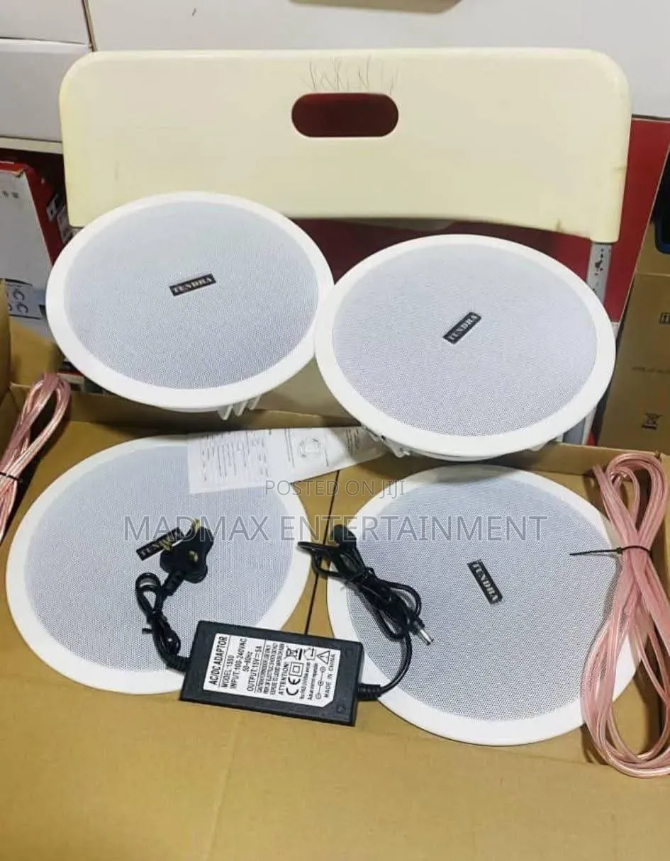 Bluetooth Ceiling Speaker