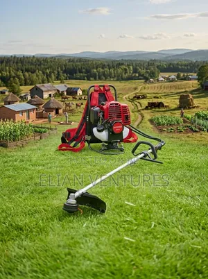 Most Purchased Brush Cutter 4 Stroke Back Pack for Sale