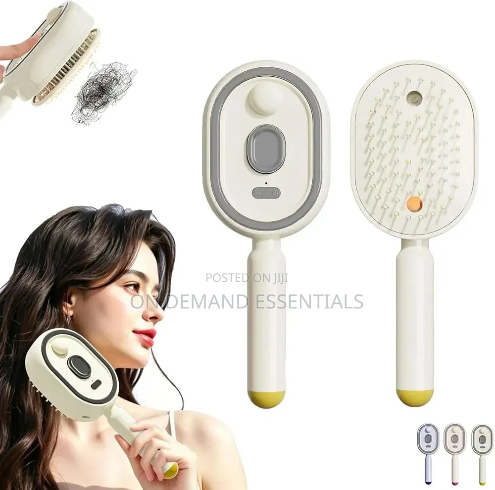 3 in 1 Rechargeable Mist Grooming Brush