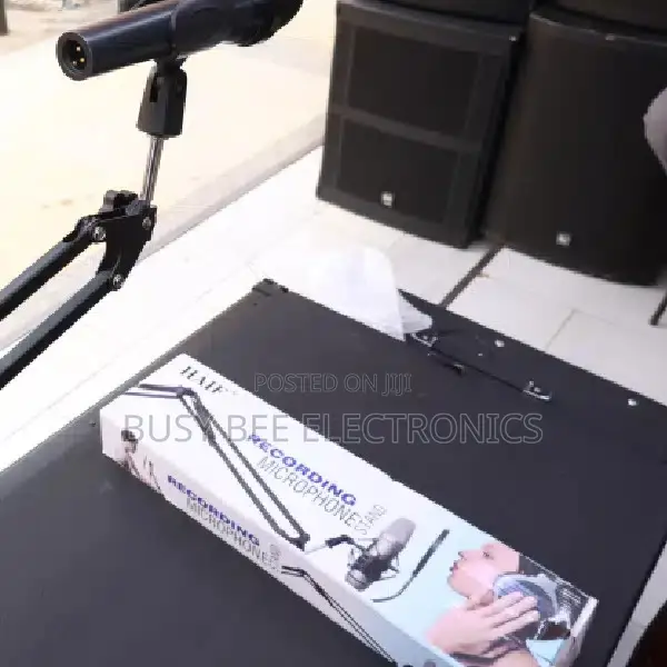 Arm Recording Microphone Stand
