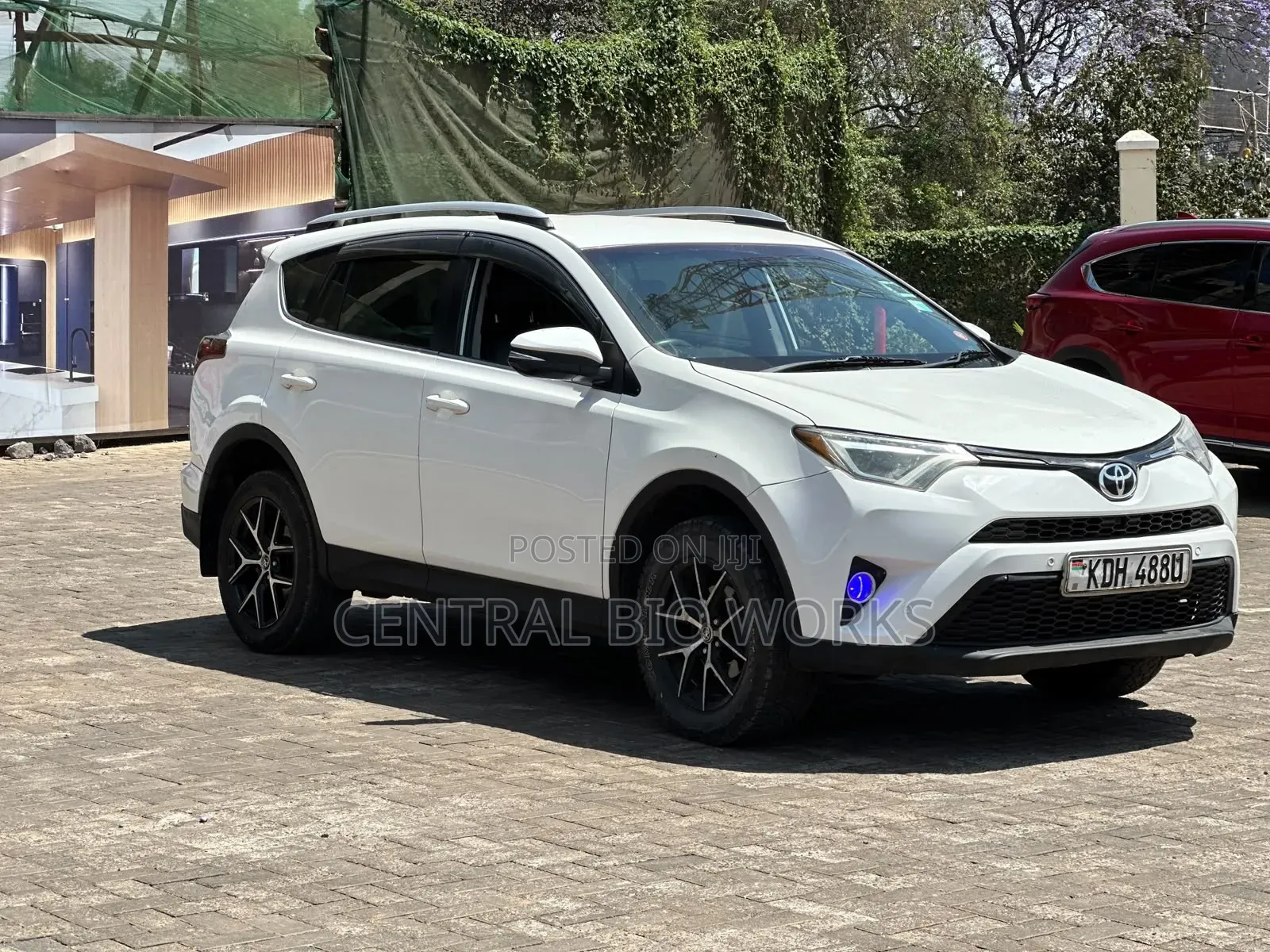 Toyota RAV4 2015 White
