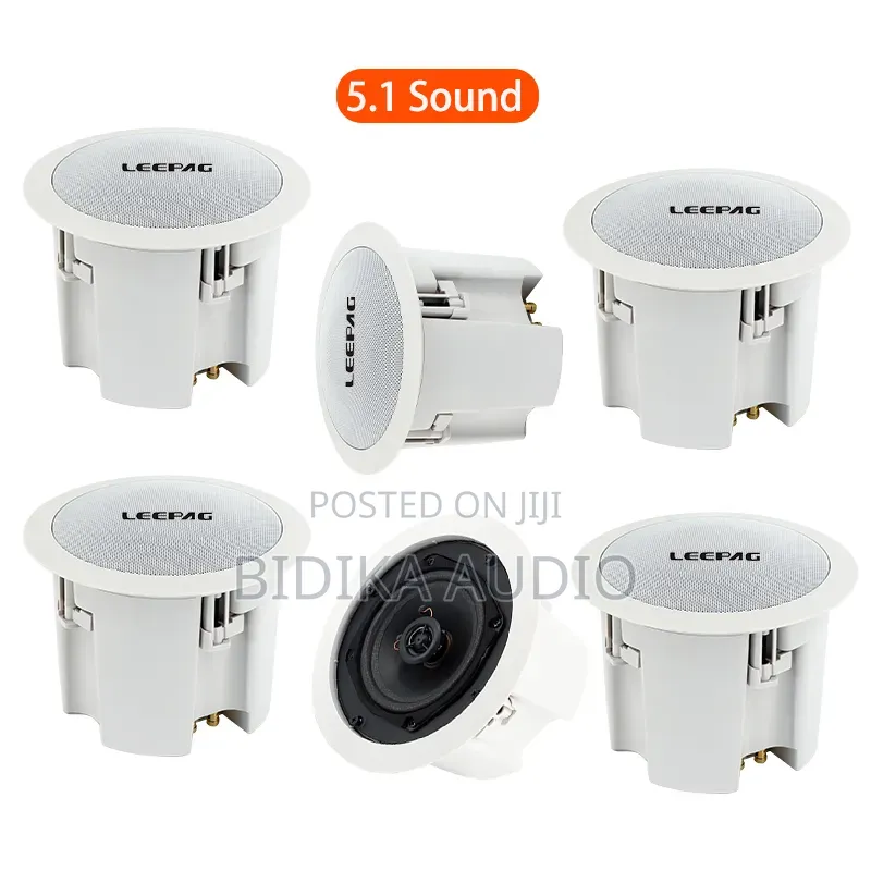 For Bluetooth Speaker for Home Hotel or Shop Blue Ceiling Speaker