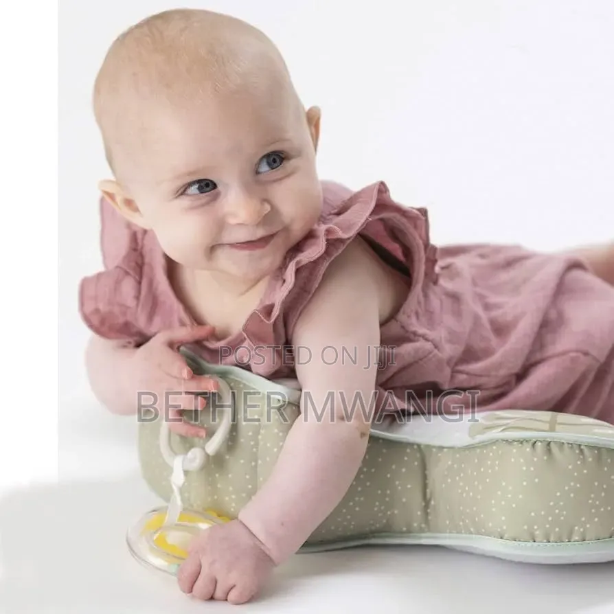 Taf Toys Savannah Tummy Time Cushion (Lion Theme) in Kenya