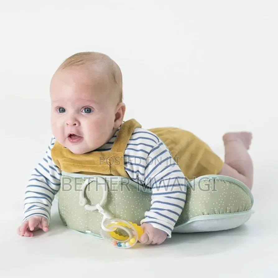 Taf Toys Savannah Tummy Time Cushion (Lion Theme) in Kenya