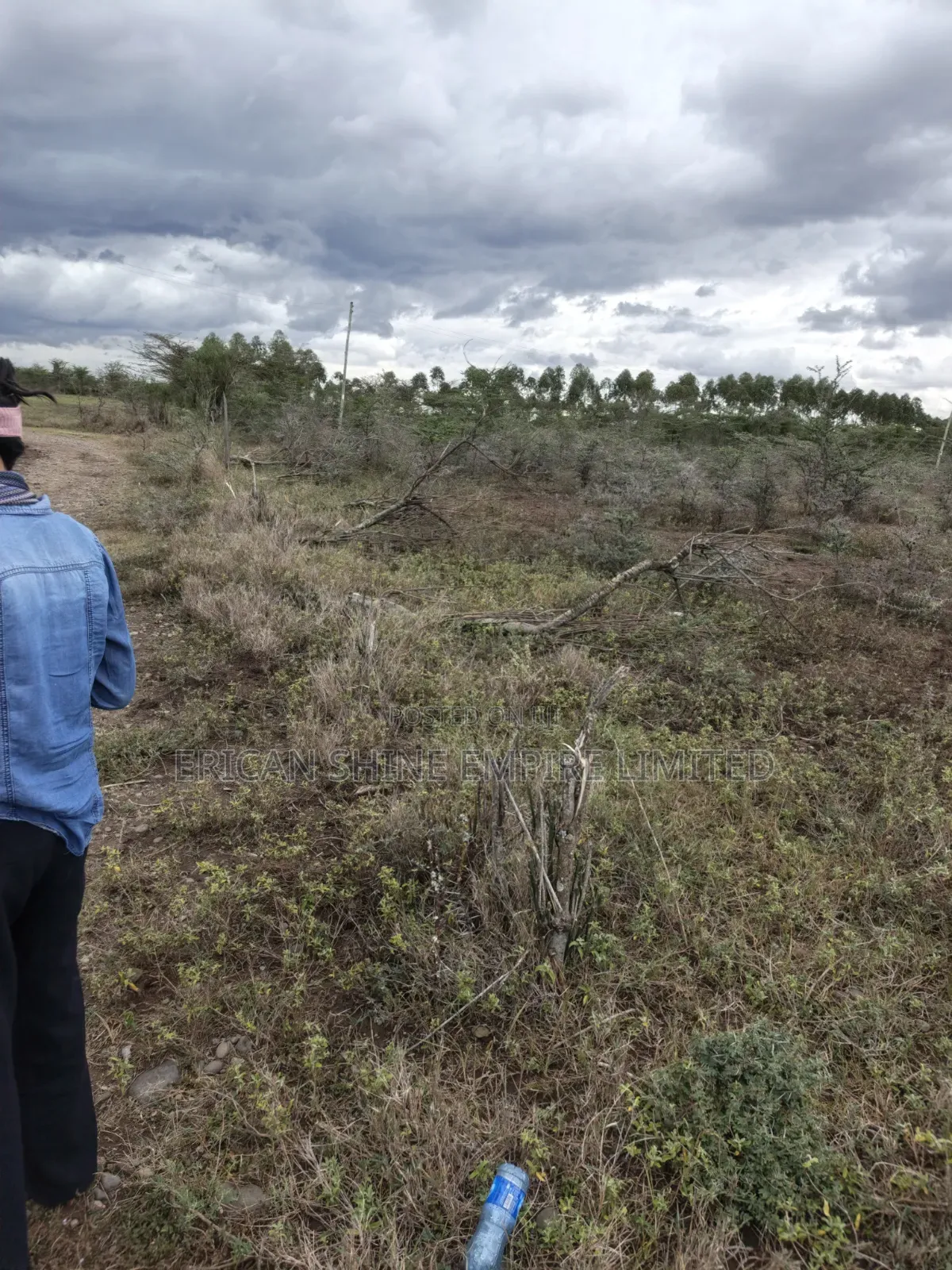 Land for Sale in Lolldaiga- Nanyuki