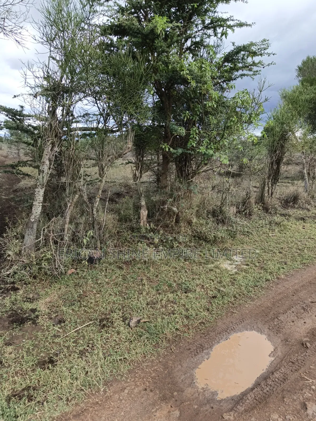 Land for Sale in Lolldaiga- Nanyuki