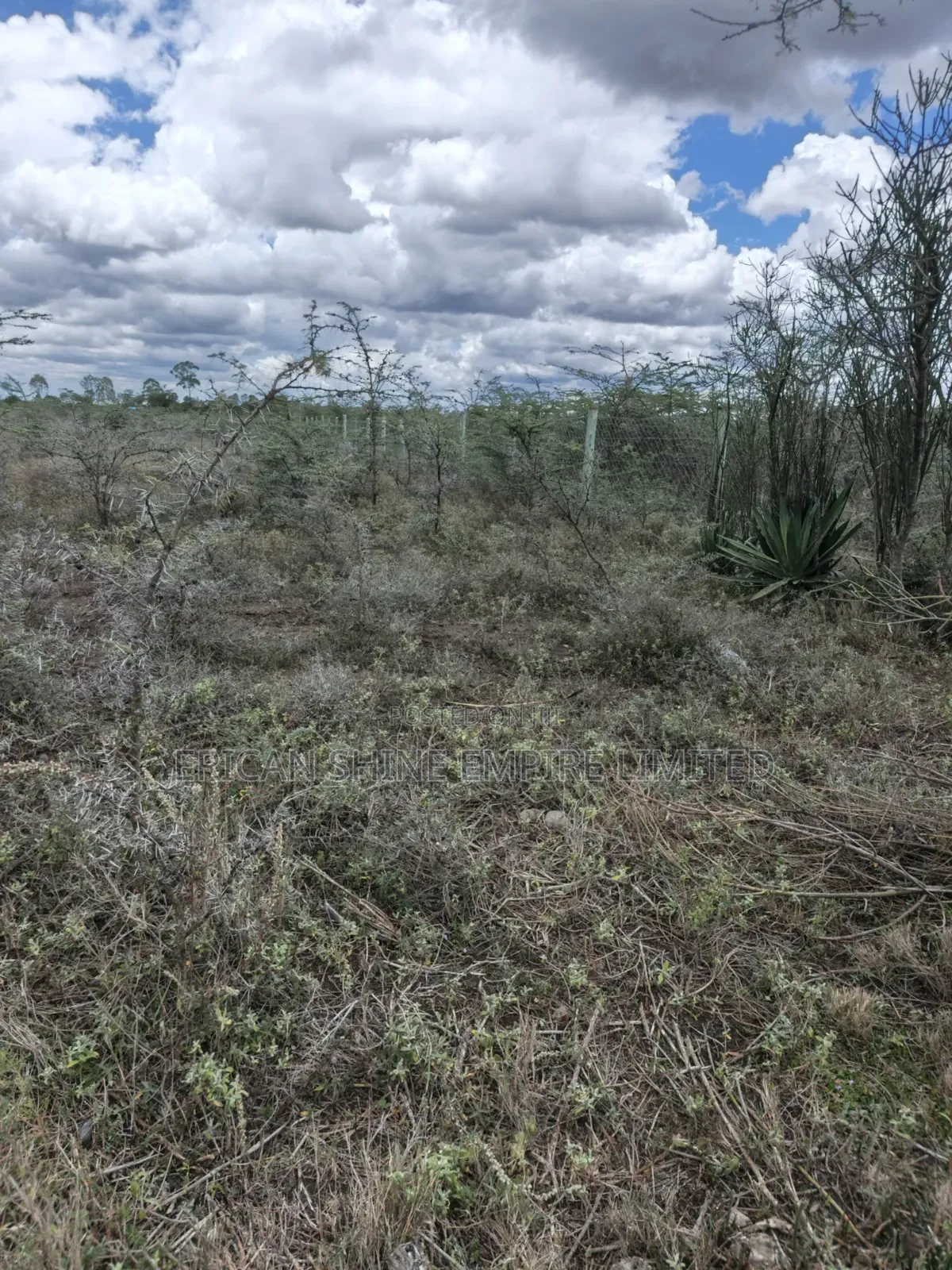 Land for Sale in Lolldaiga- Nanyuki