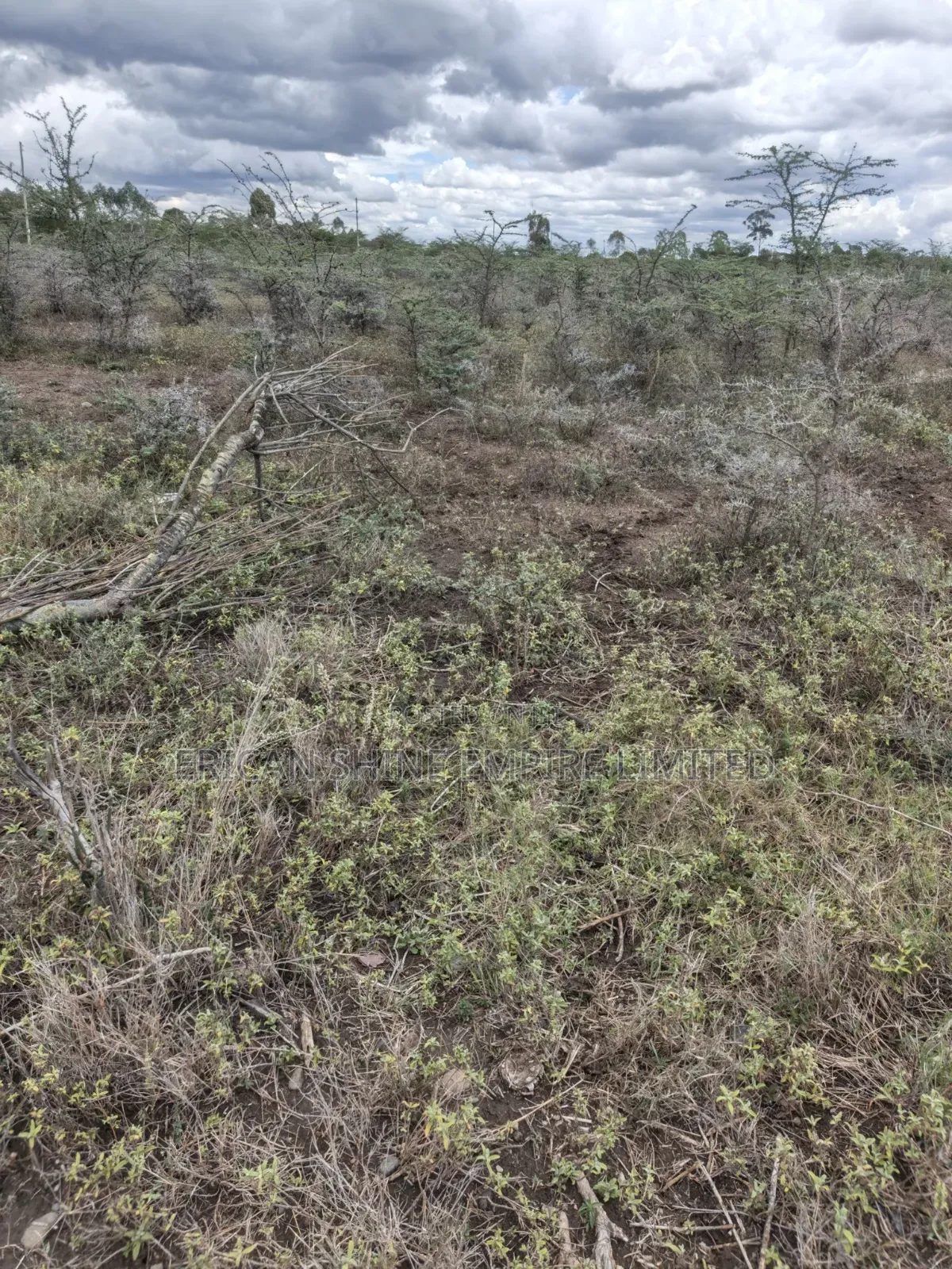 Land for Sale in Lolldaiga- Nanyuki