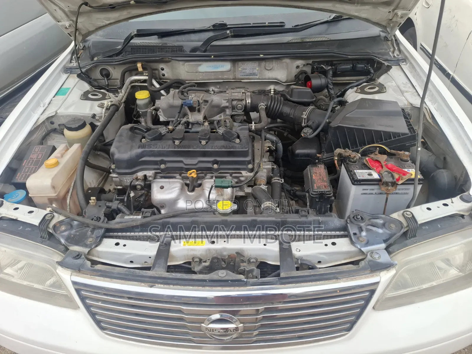 Nissan FB15 2003 Pearl
